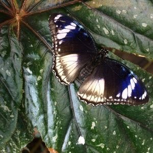 Meet your Posher, Mackenzie